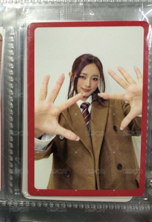 特四預購