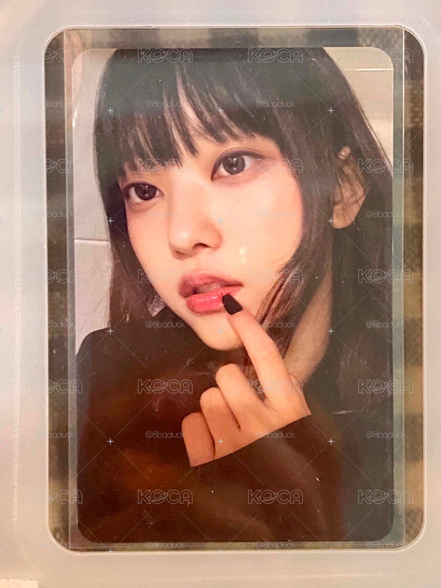 魔女貓