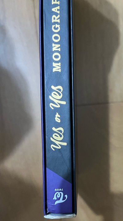 twice yes or yes  monograph 花絮 寫真 空專