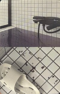 正規一 電子專 專輯卡 Chaos固配生活