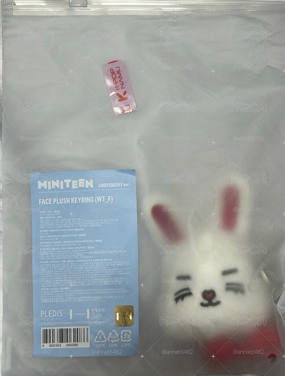 現貨 MINITEEN 喆大頭吊飾
