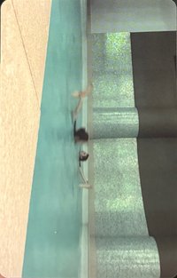 正規一 電子專 專輯卡 Chaos固配生活