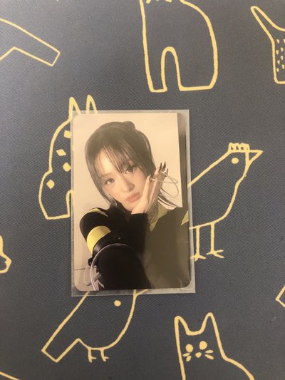 托臉賢 大損 損在臉部