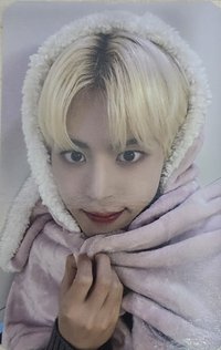 單曲二輯 knpops vc 簽售卡 兔子毛毯