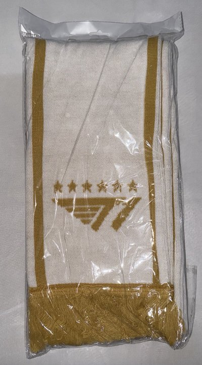 T1 S15 V6圍巾