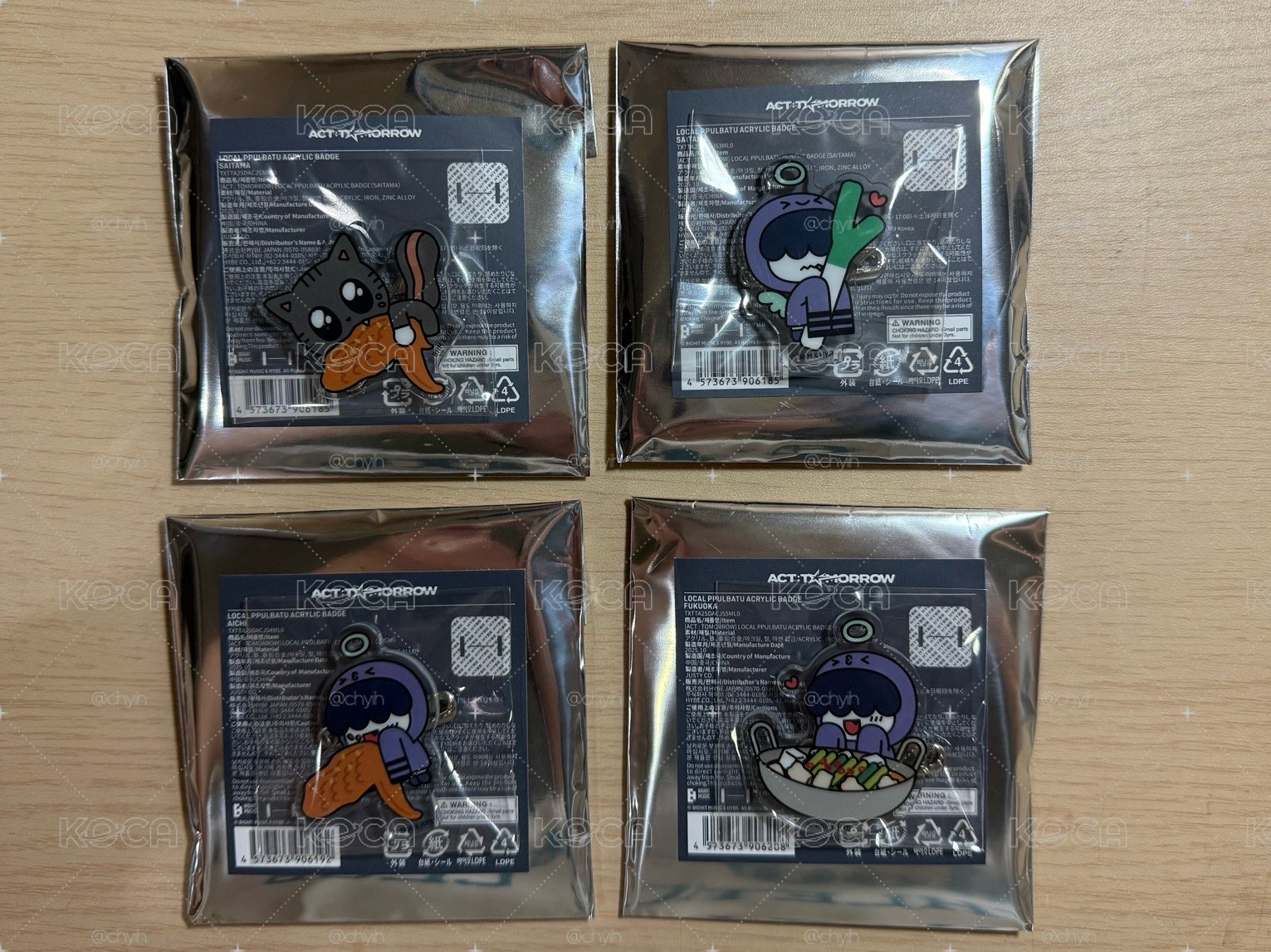 25’巡迴  徽章 