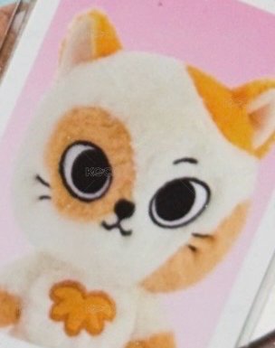 貓比