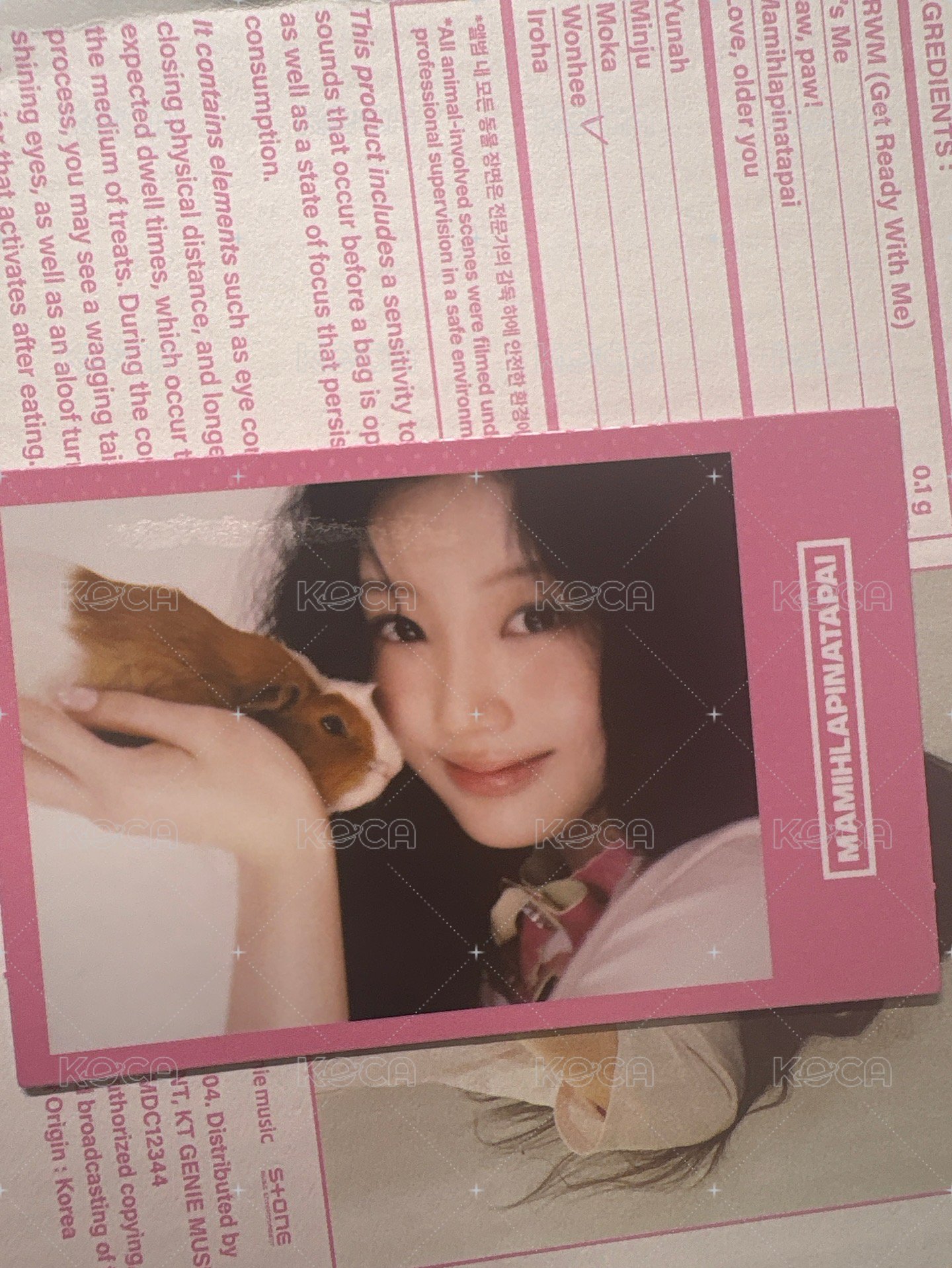 wvs預售拍立得