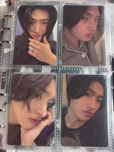 旼琦灰兔盤