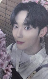 NOWADAYS FLNK fs 1.0 簽售卡 櫻花妖精