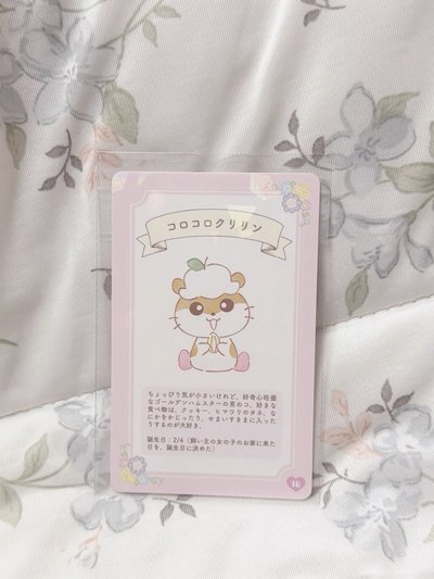 ౨ৎ⋆ 三麗鷗絕版小卡｜可樂鈴