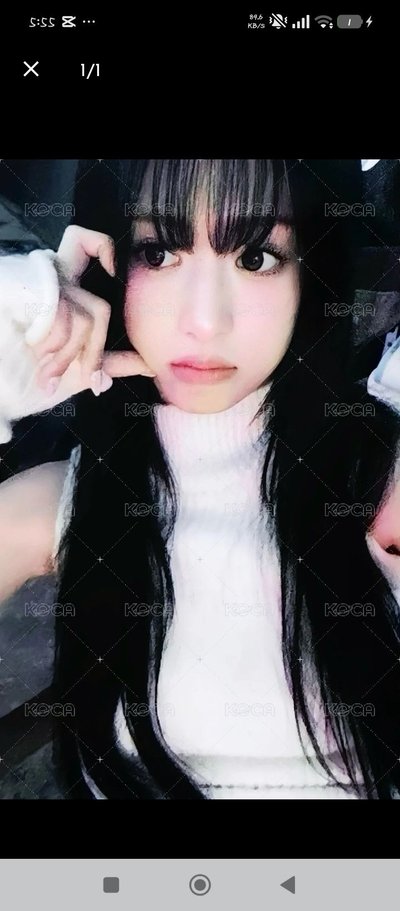 寶怪熱卡