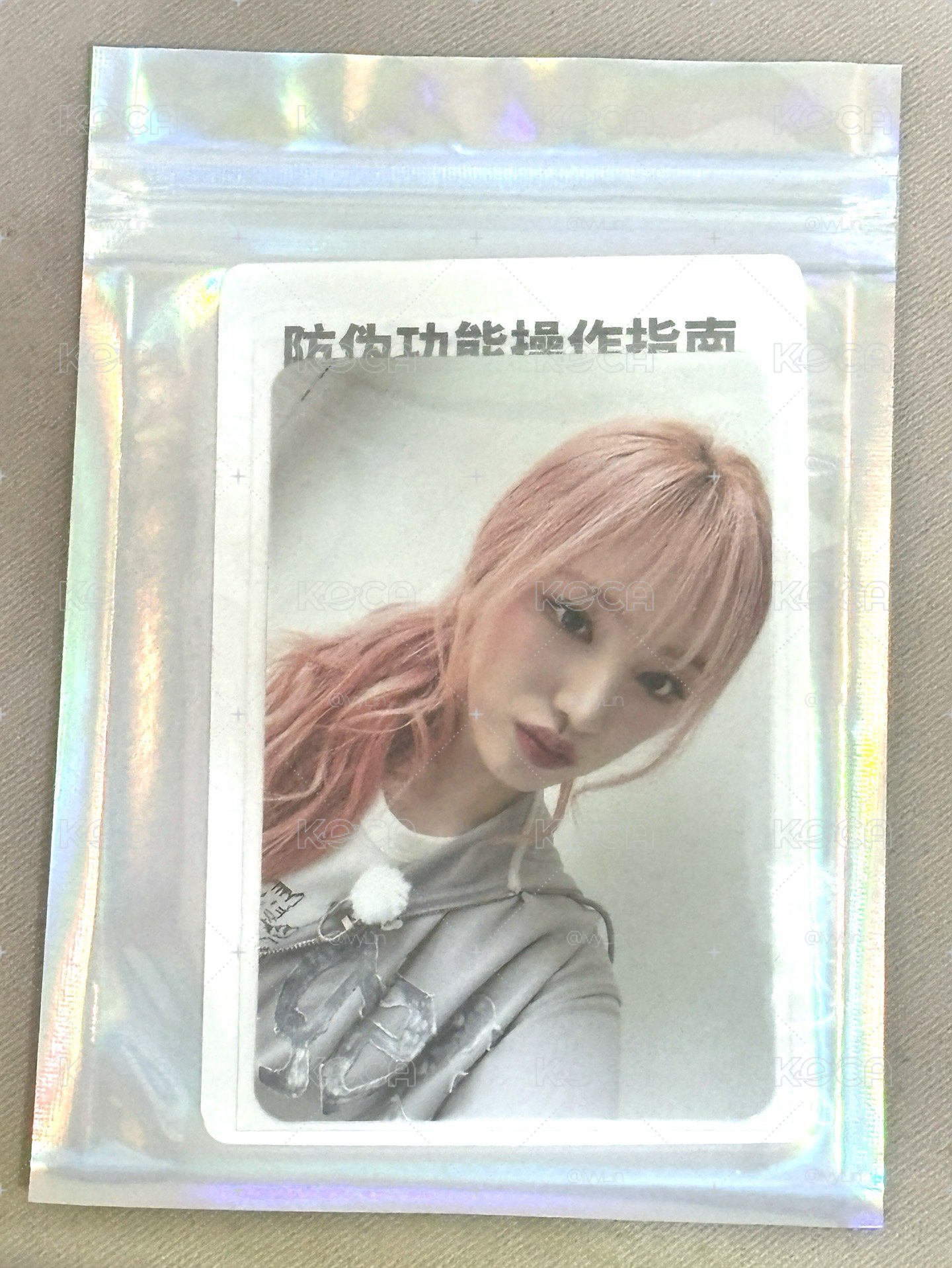 四星栗