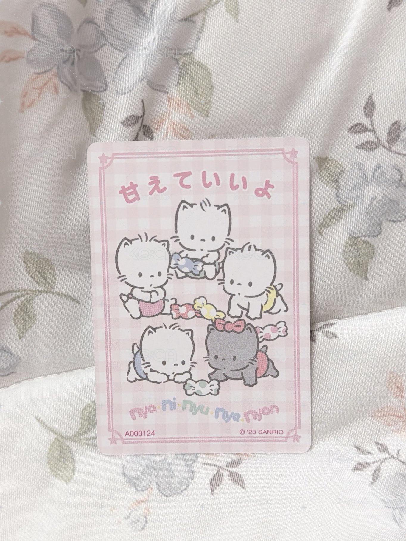 ౨ৎ⋆ 三麗鷗絕版小卡｜喵喵家族