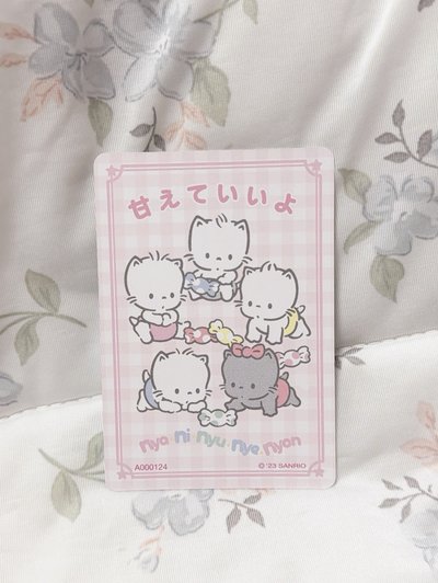 ౨ৎ⋆ 三麗鷗絕版小卡｜喵喵家族