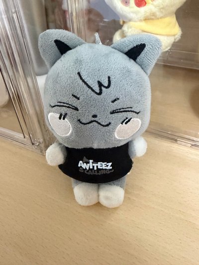 ANITEEZ 水泥傘德 二手！