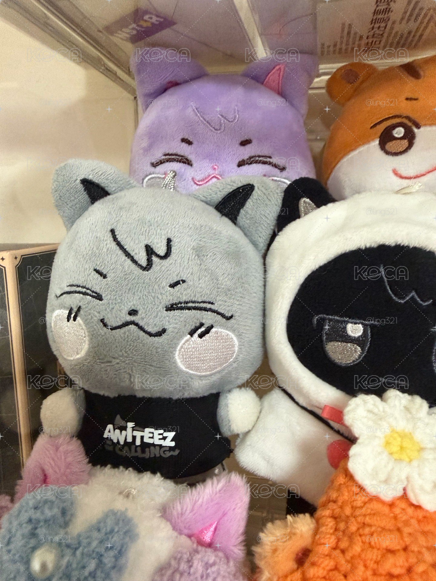 ANITEEZ 水泥傘德 二手！