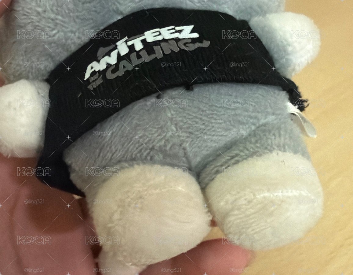 ANITEEZ 水泥傘德 二手！