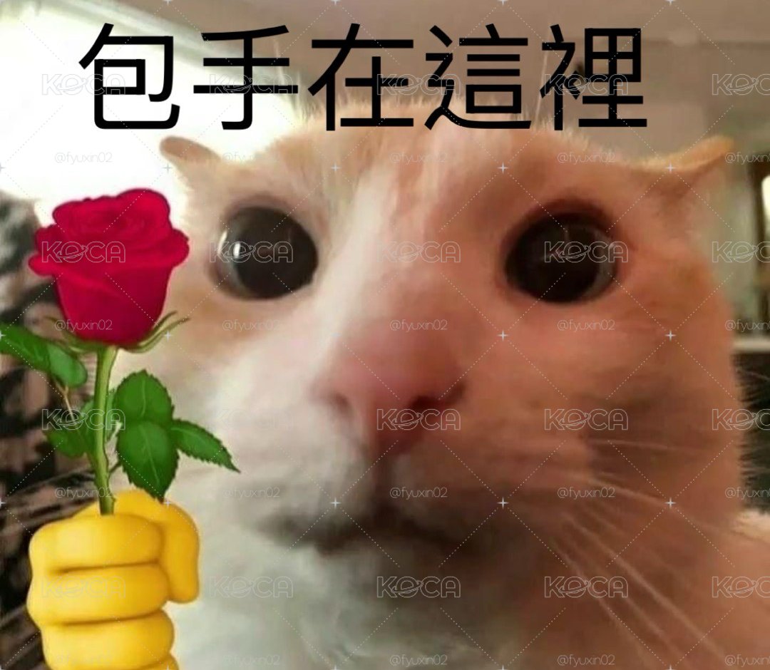 包手