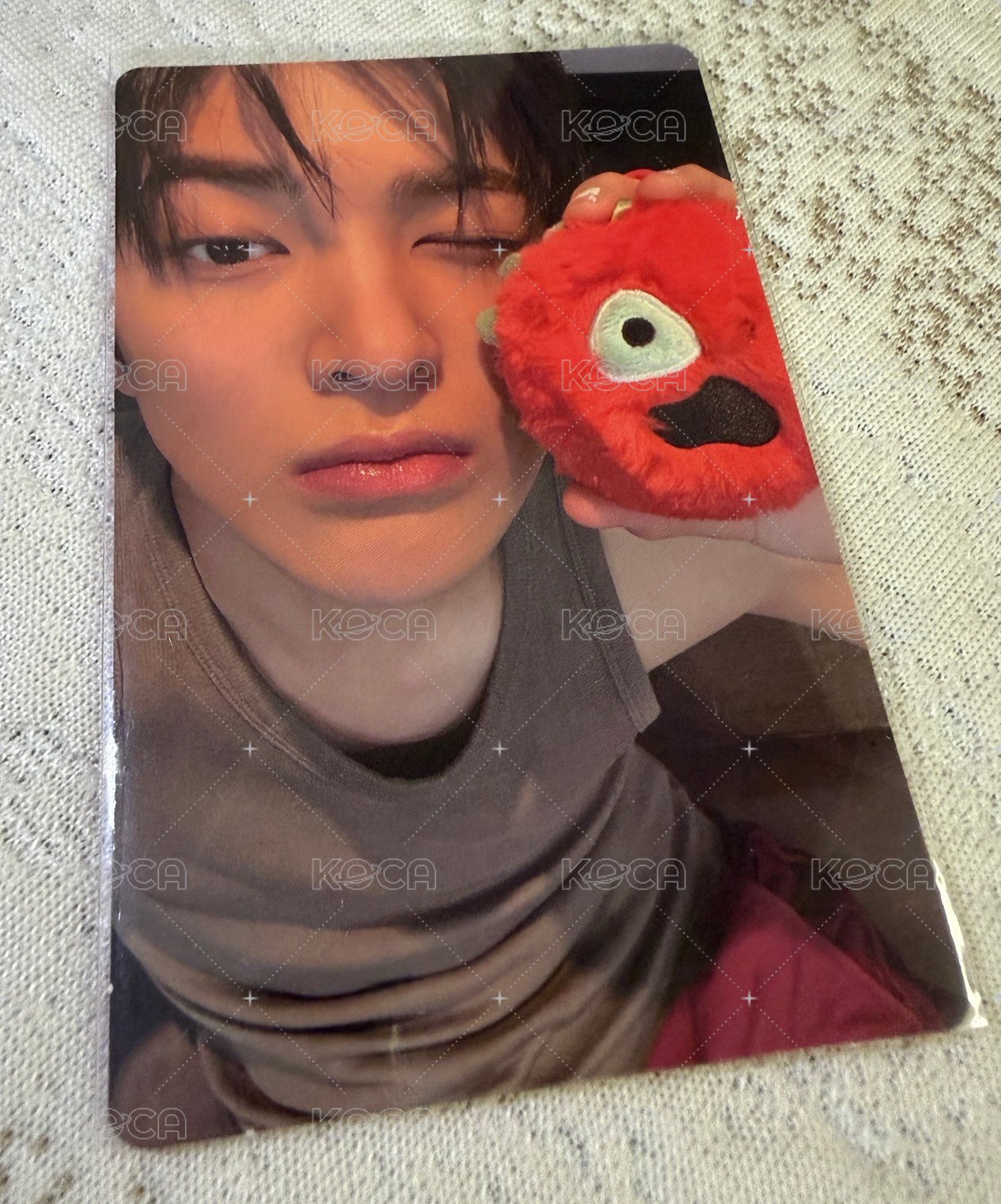 安乾鎬 （需帶凡）