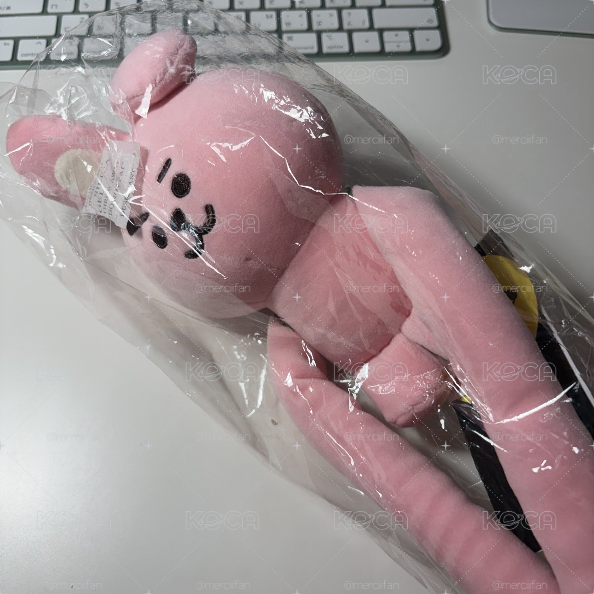 BTS BT21手很長娃娃（Cooky）
