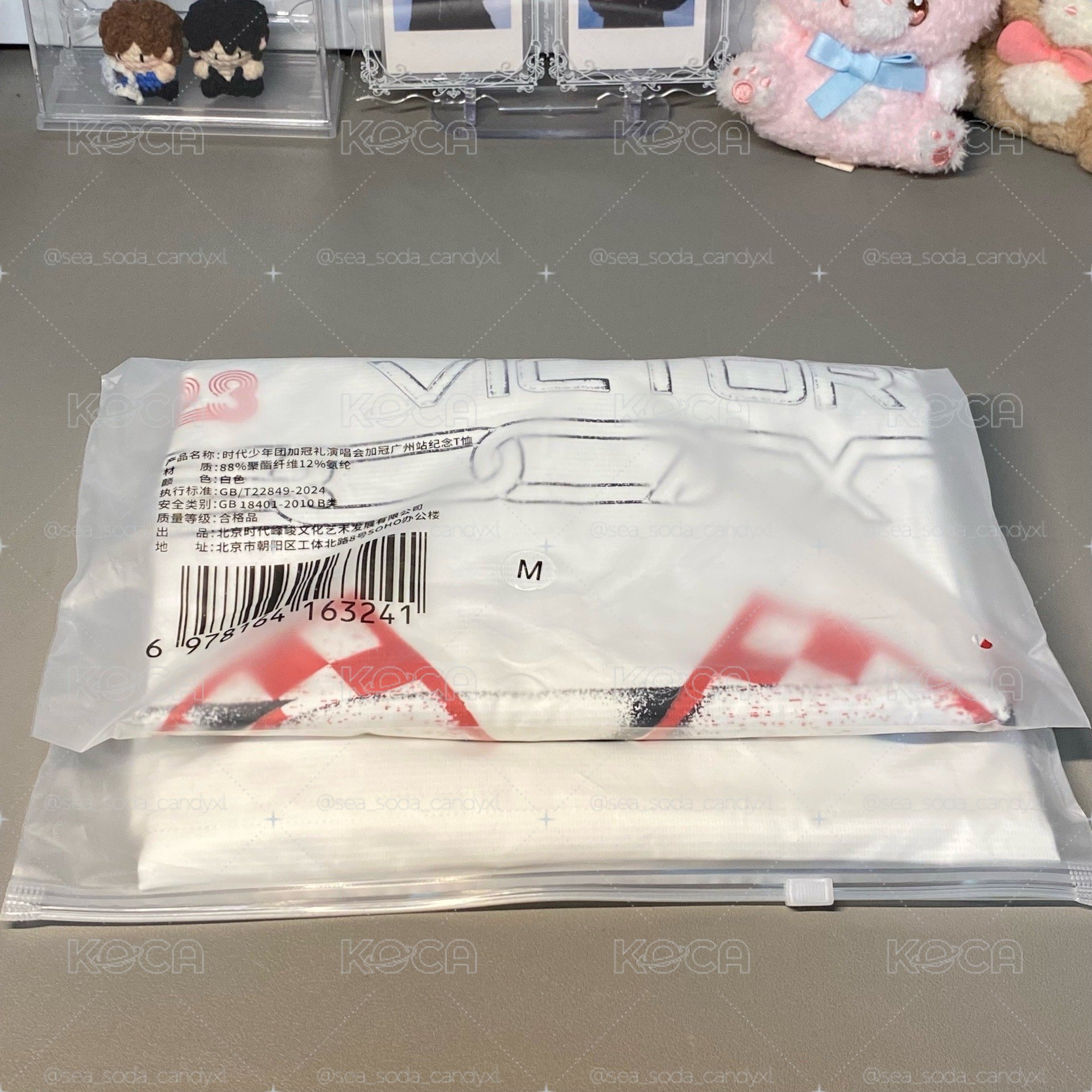廣州t 