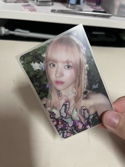 lily仲夜夏專卡