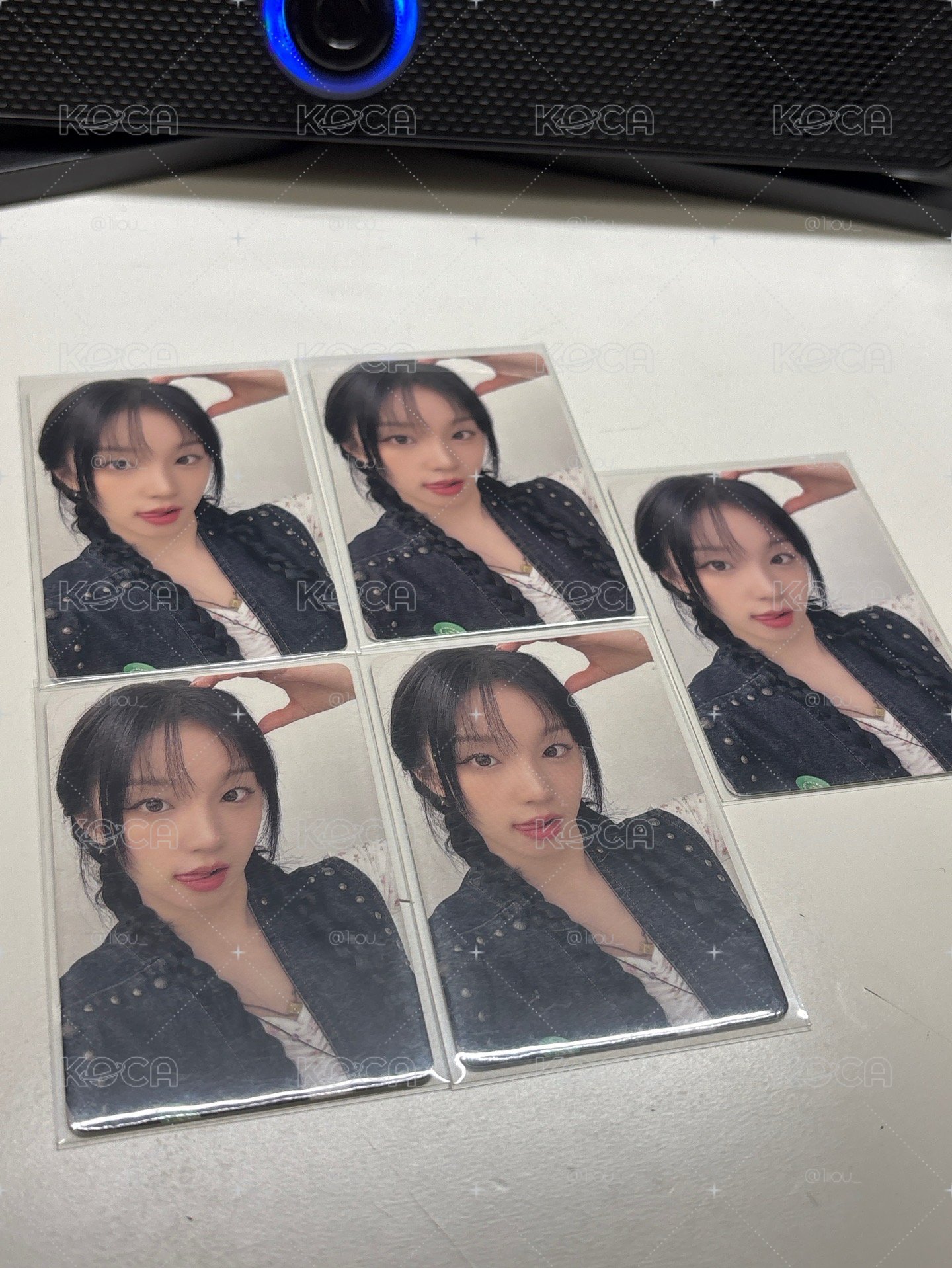 小狗琦