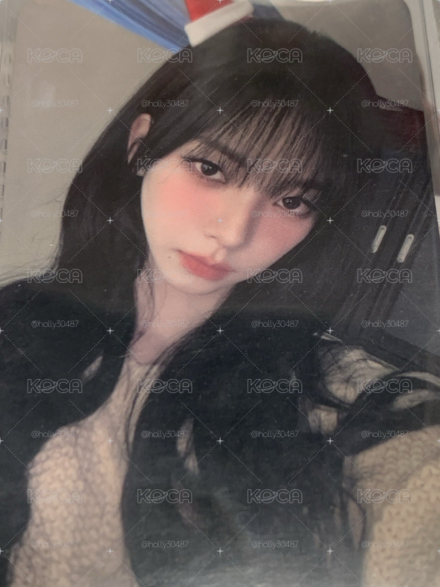 聖誕柚