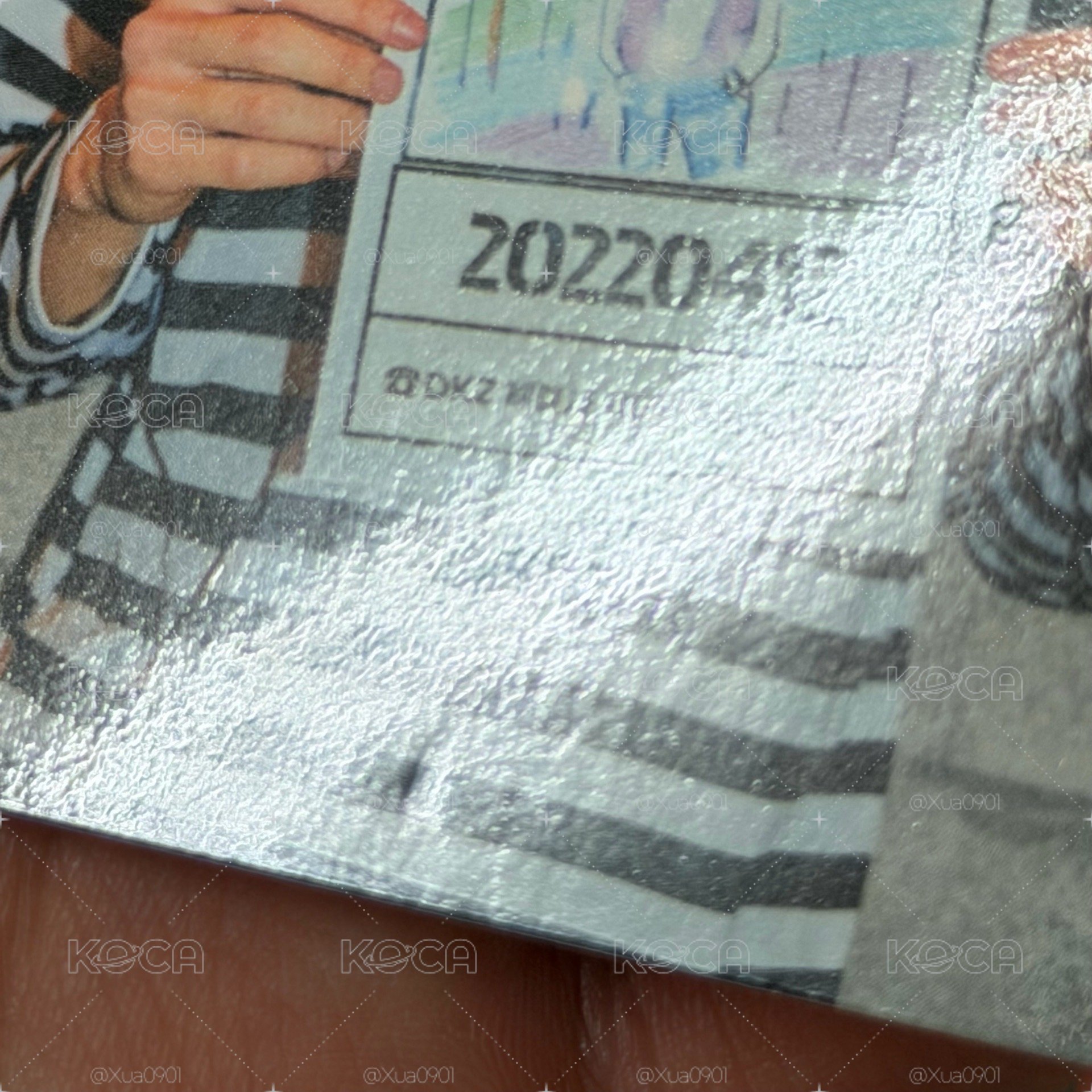 DKZ專卡˖ ࣪⊹