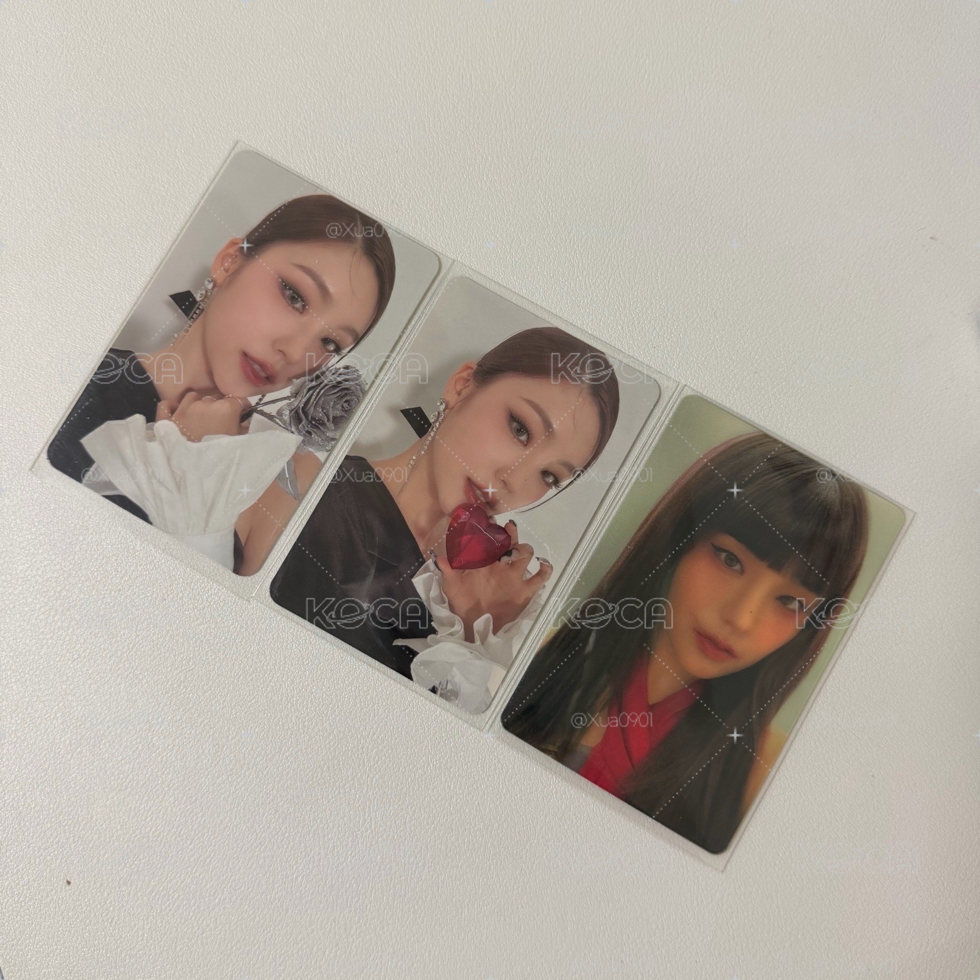 貓貓專卡˖ ࣪⊹