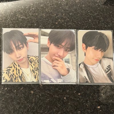 BND 明宰鉉 三隻小狗狗