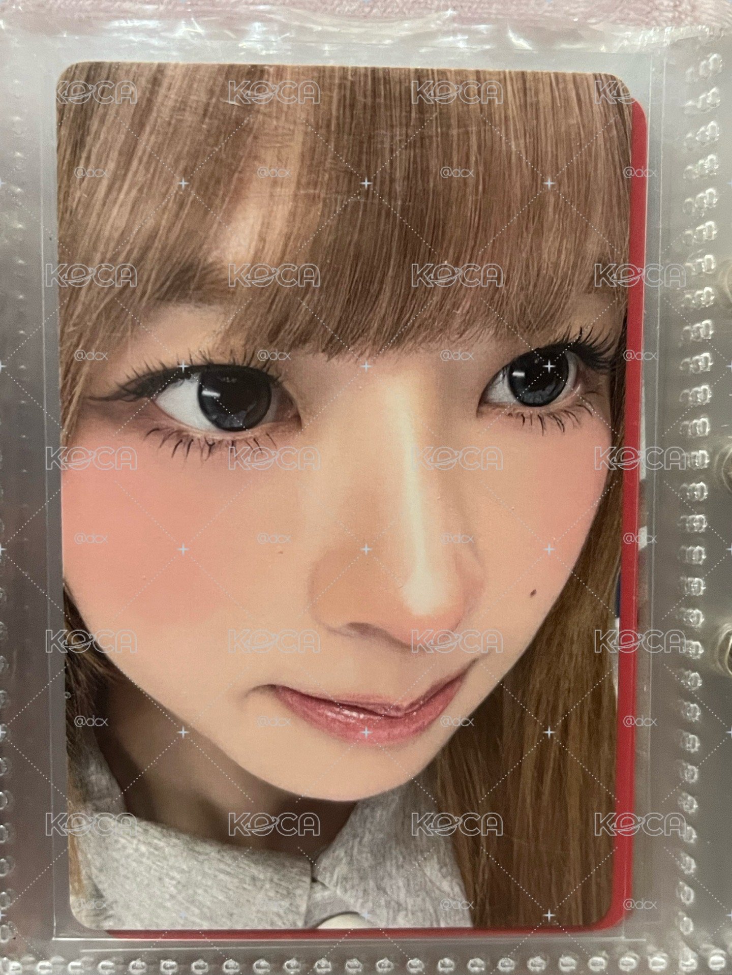 IVE 直井怜 Rei REVIVE+ 塔店 1.0 懟臉怜