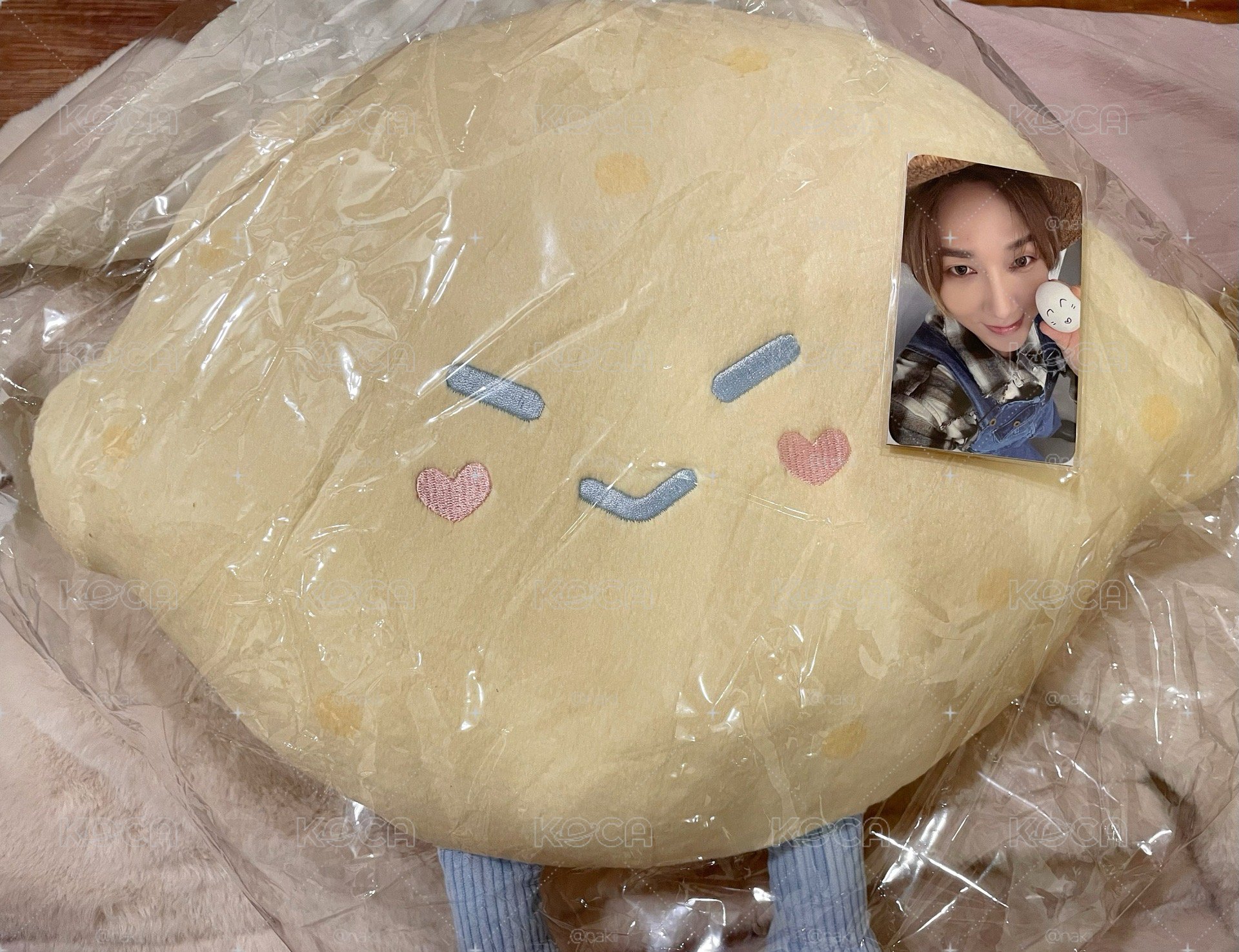 SJ I MARKET 藝聲 檸檬抱枕