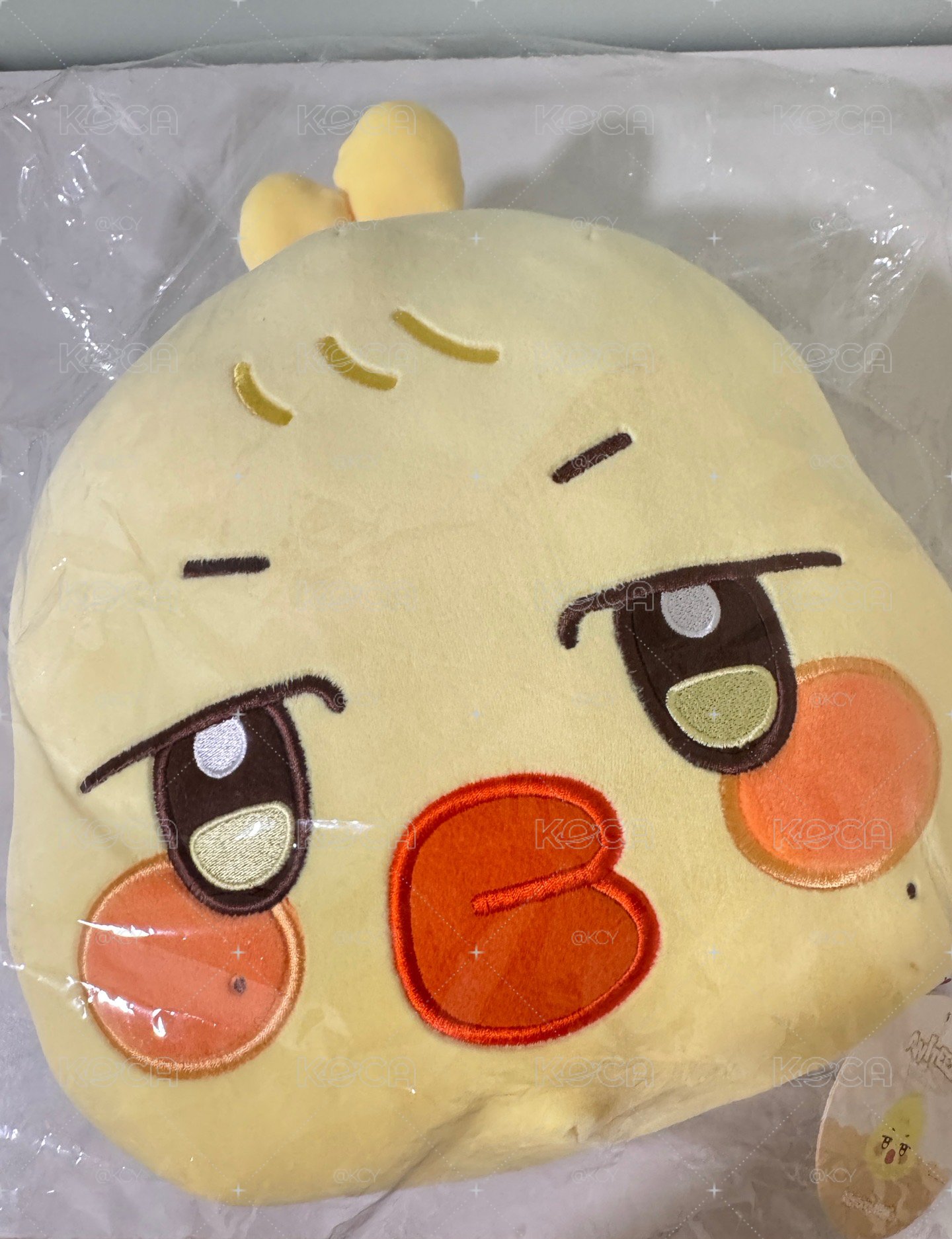 全新蹦旼大臉抱枕