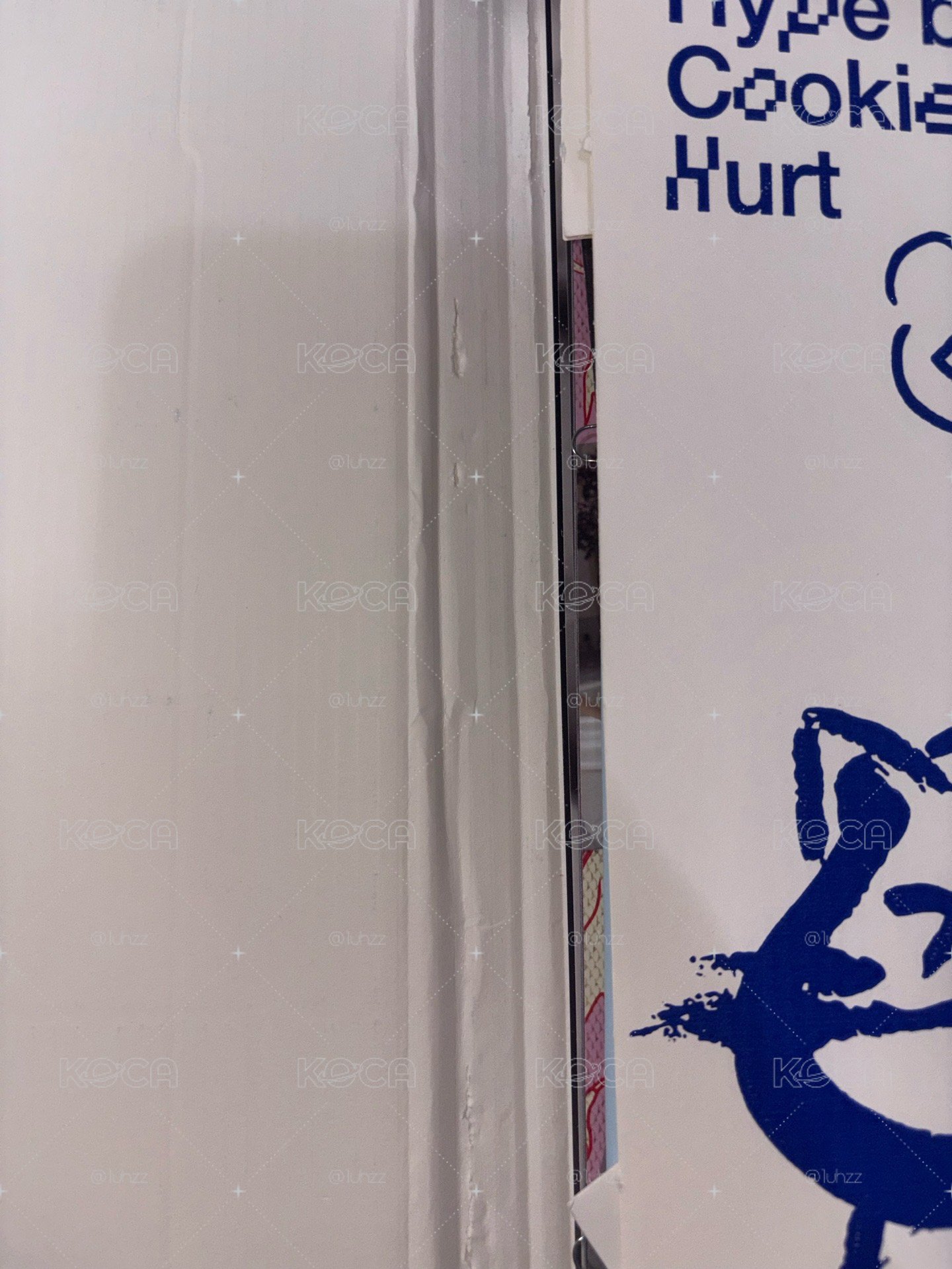 貓藍書空專！