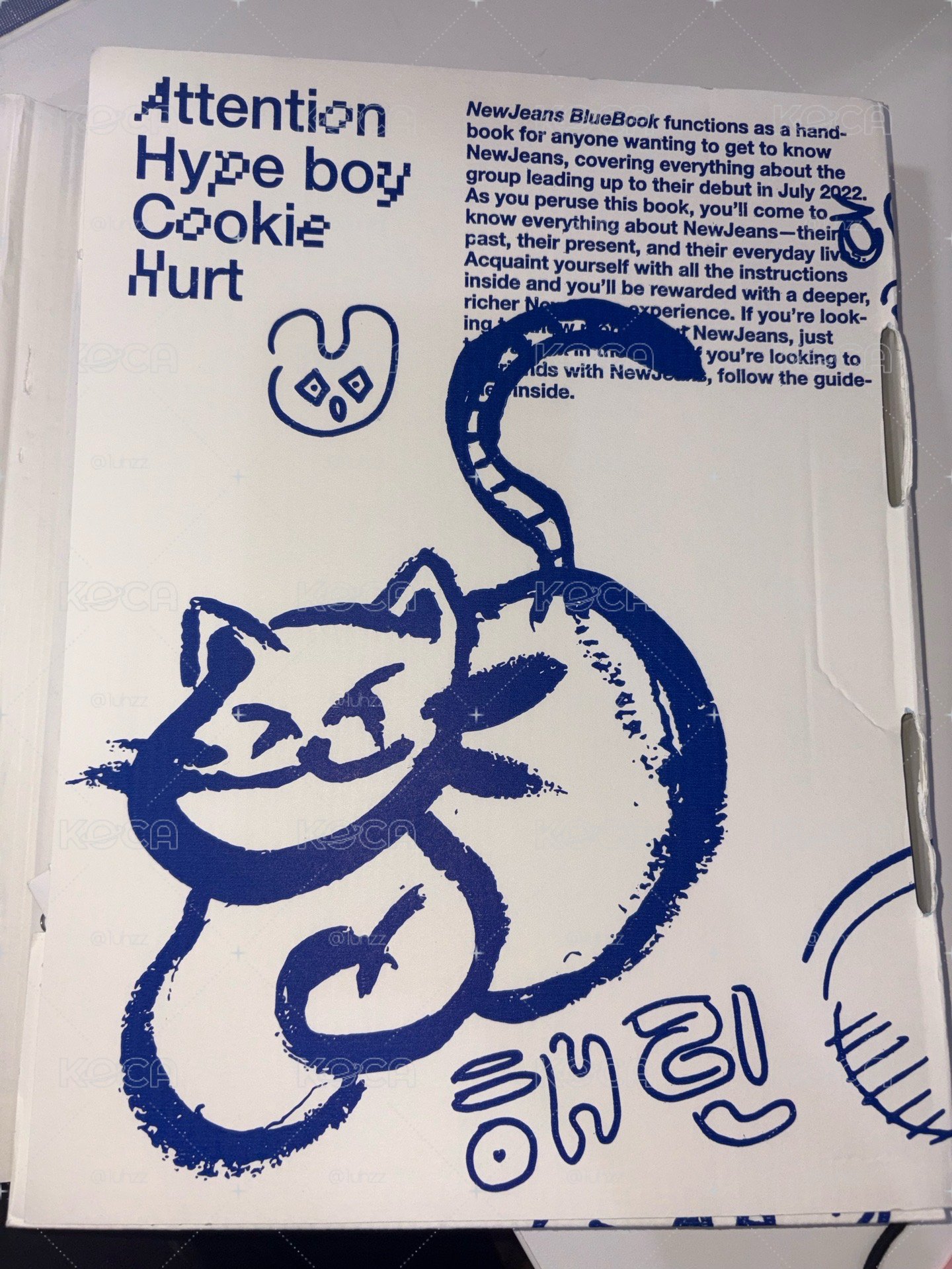 貓藍書空專！