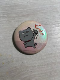 貓