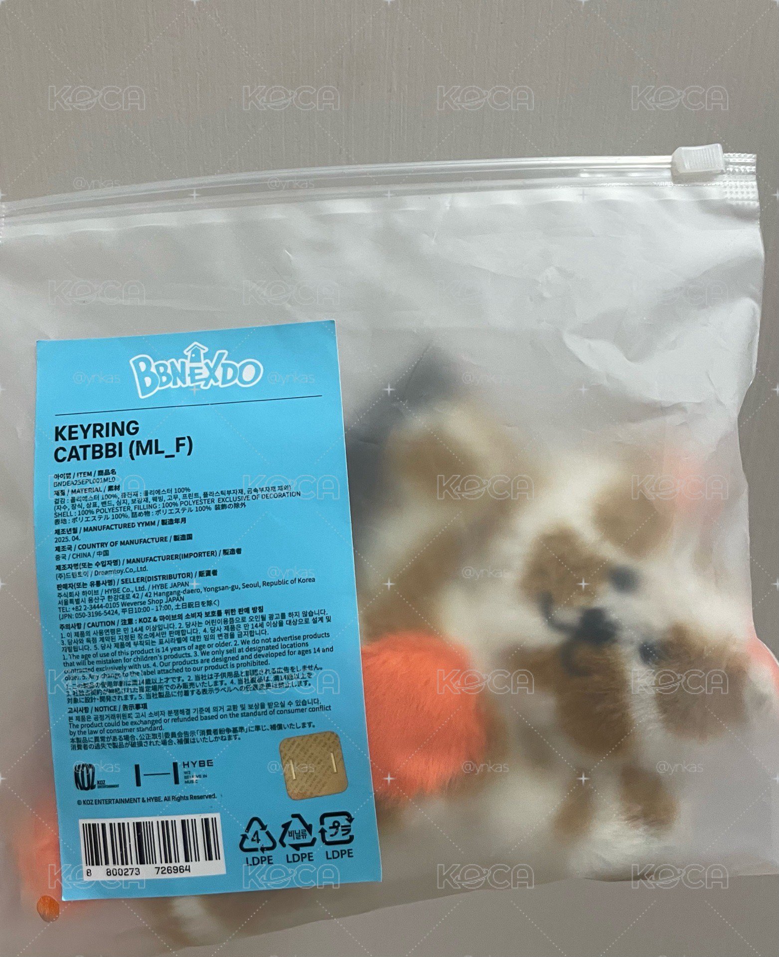 CATBBI 一代娃 