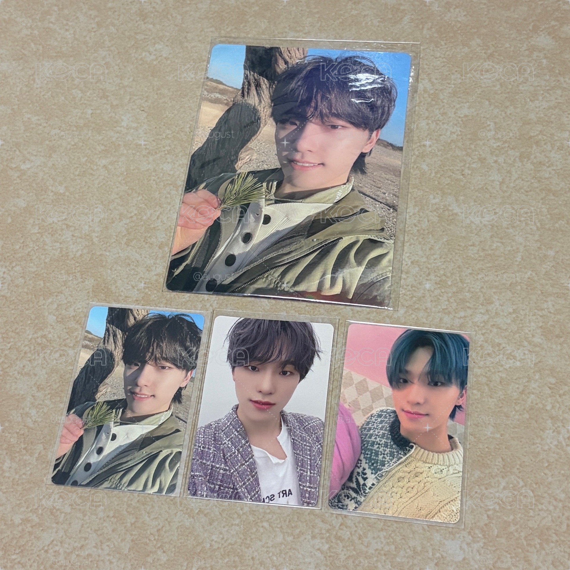 SEVENTEEN 李燦 Dino 特典 小卡