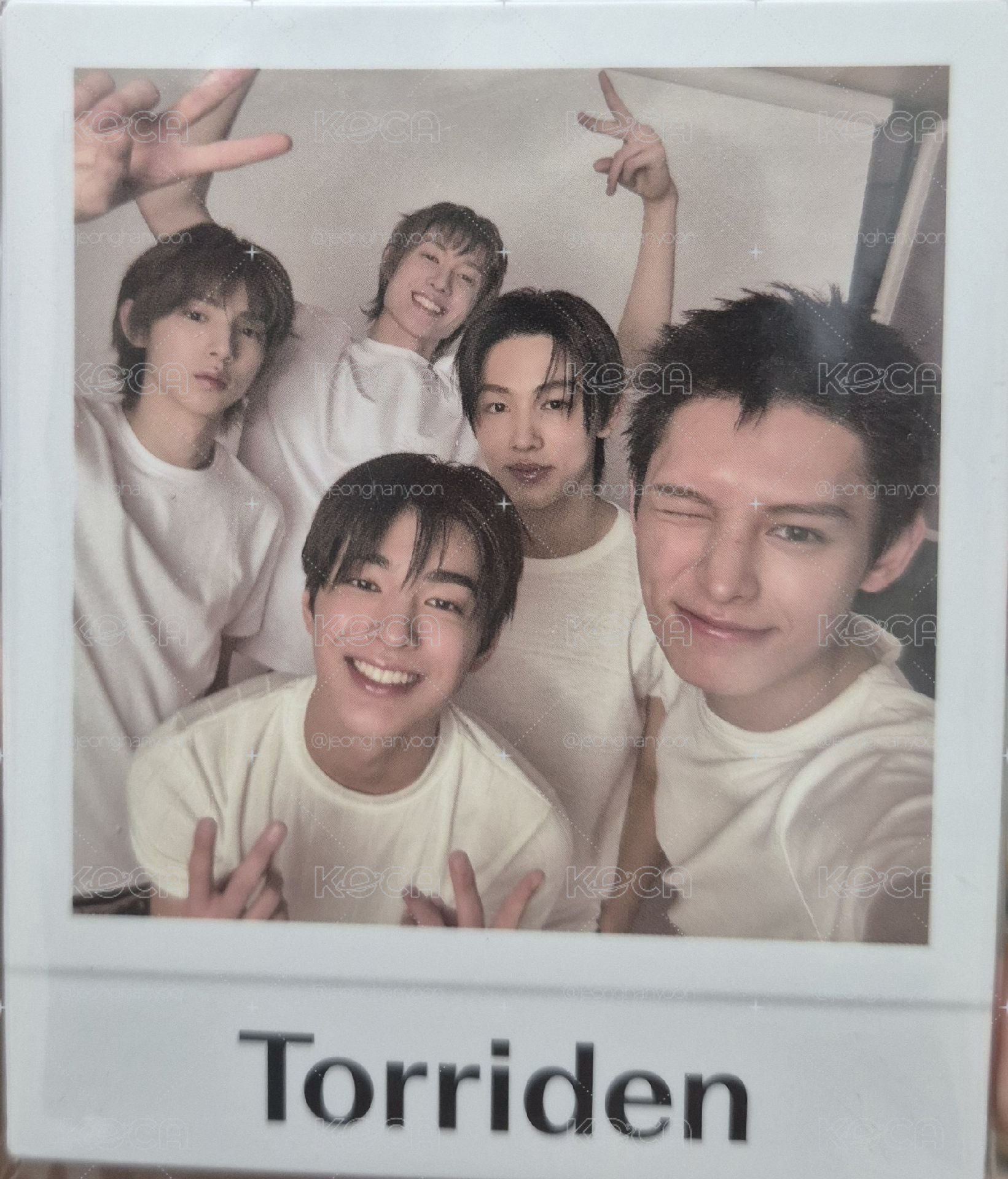 cortis torriden