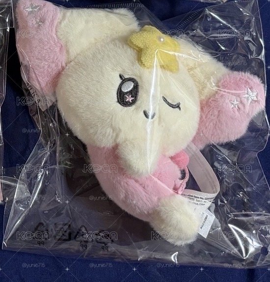 現貨 Mighteez Ddangyo