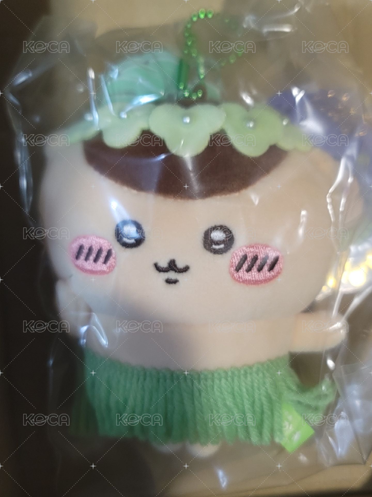草裙栗子