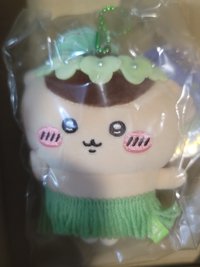草裙栗子