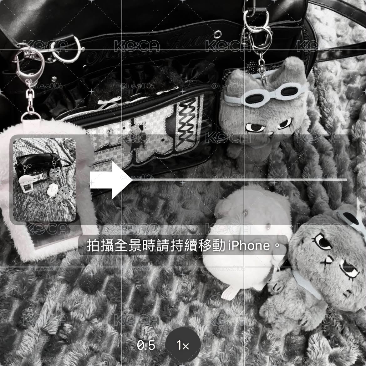 原皮漢泰豐