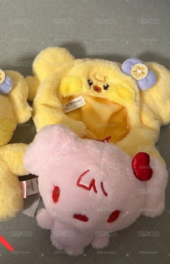 專單區