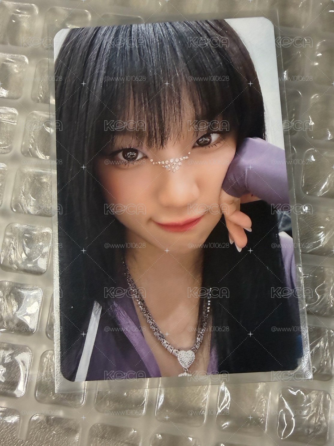 ms琦