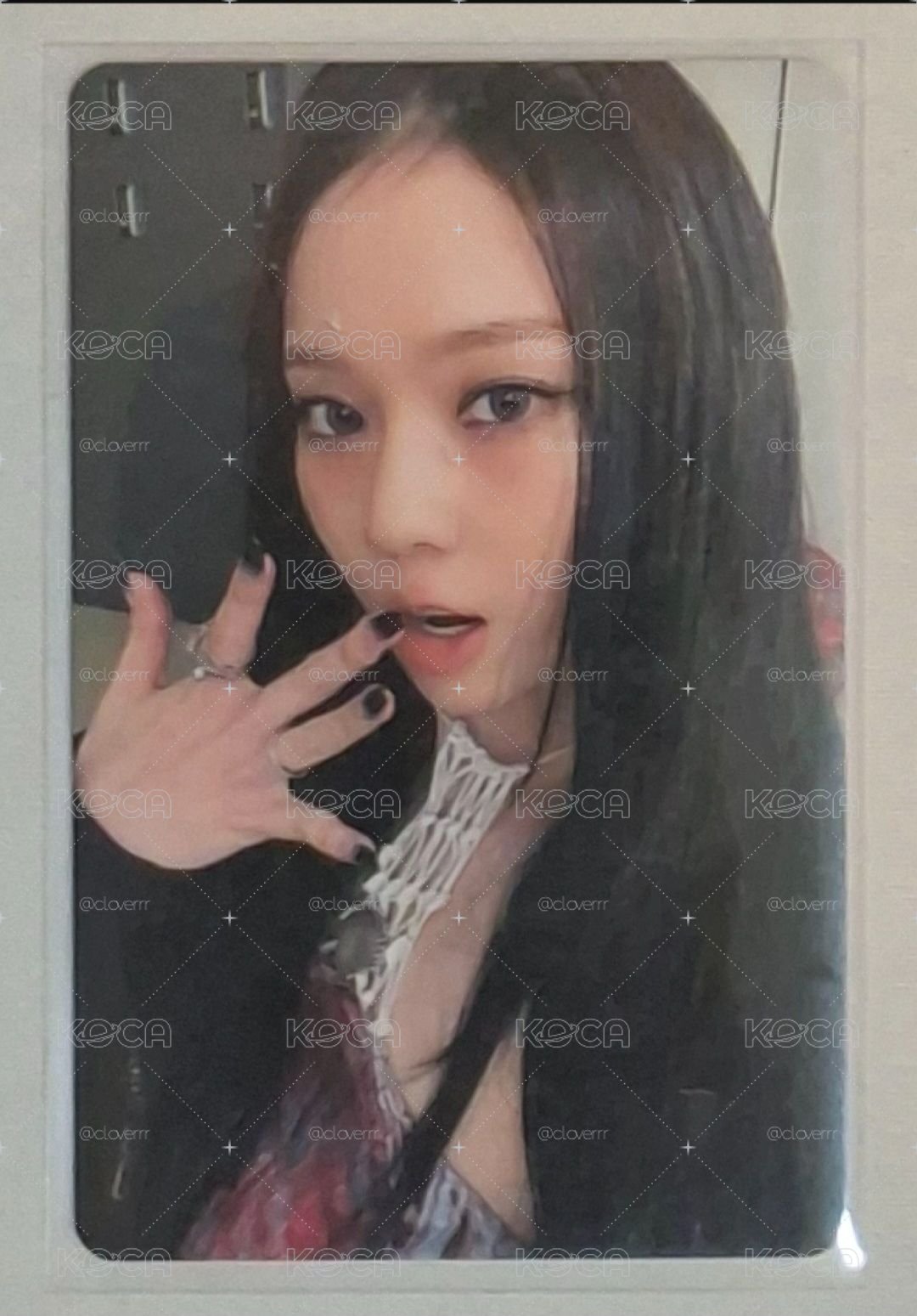 wm冬