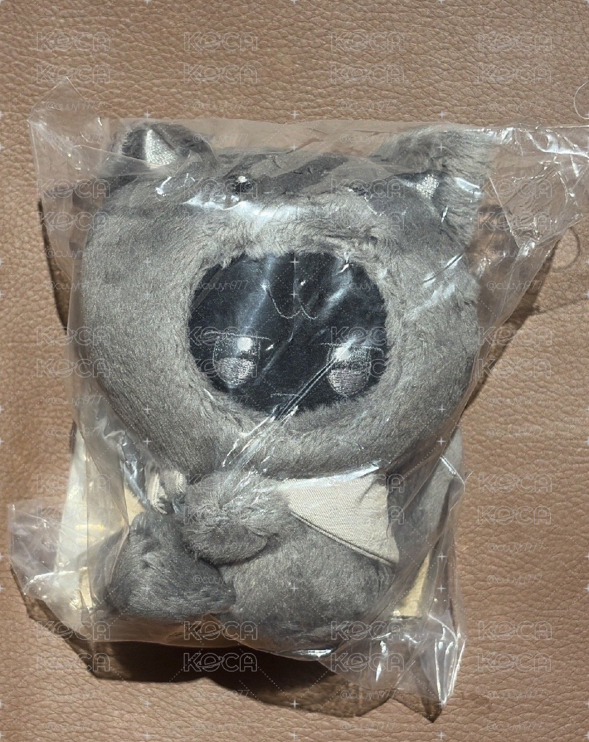 毛茸茸軟綿綿的黑色小咪