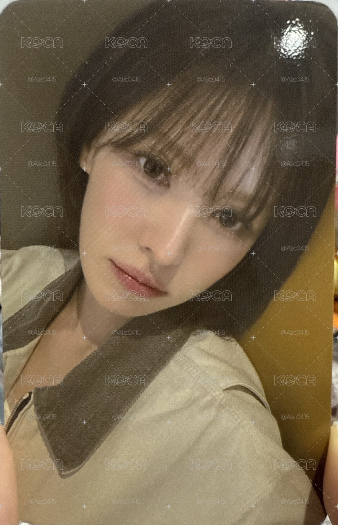 高雄櫻花祭 入場卡 boynextdoor wendy 